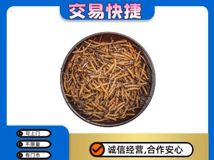 荆州市沙市回收散虫草